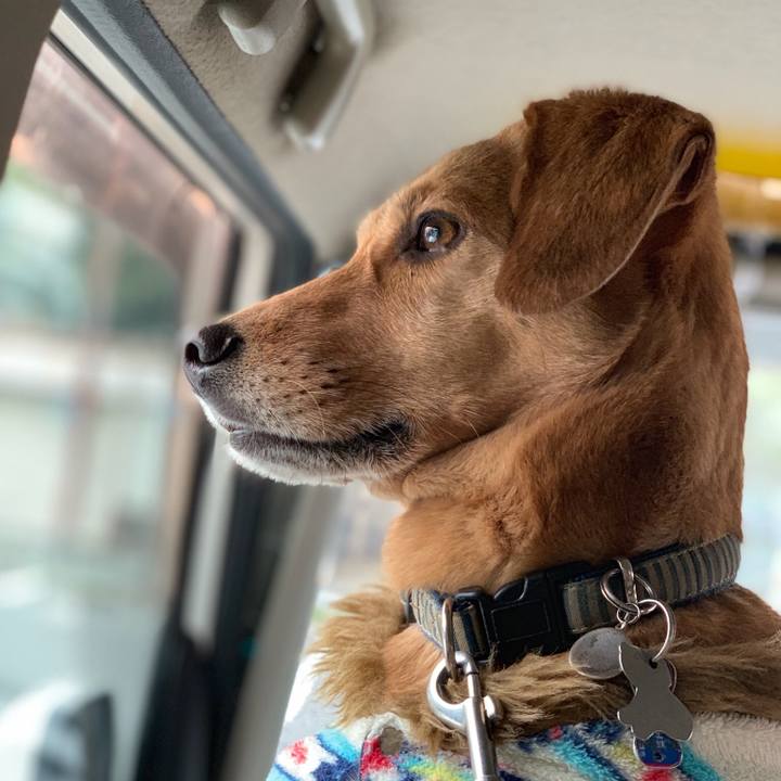 5124b5e0 be38 4ef7 bc6b 7703221a2148 1551434172079