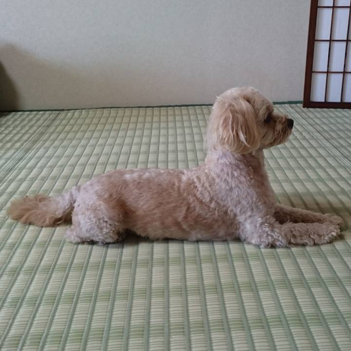 5124e1bb a074 4124 9ace 0e4b97f18c33 1534576337517