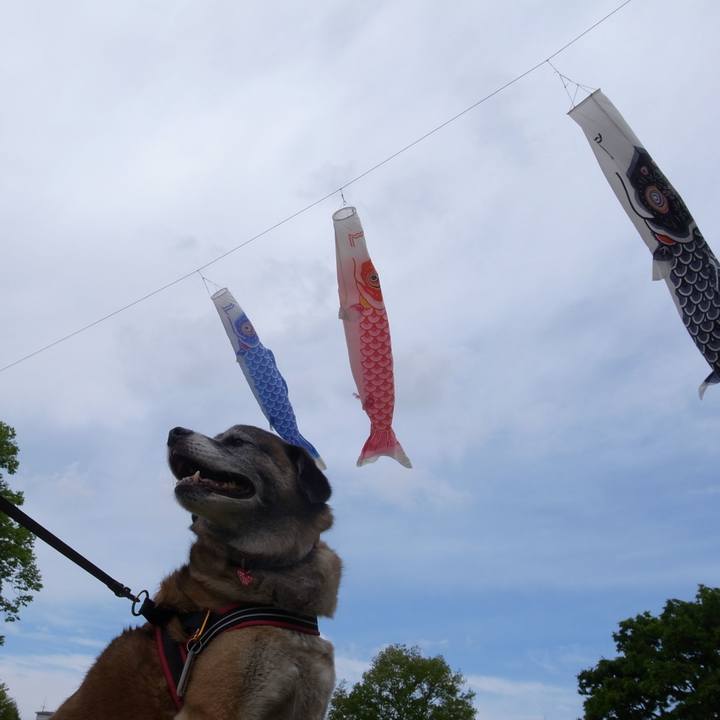 5124f7ba 9052 4307 8452 79e24fd9ff1f 1714784047535