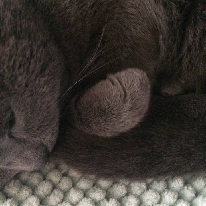 5124fd99 d550 4b61 a874 694a5cb3a7fb 1548369663924