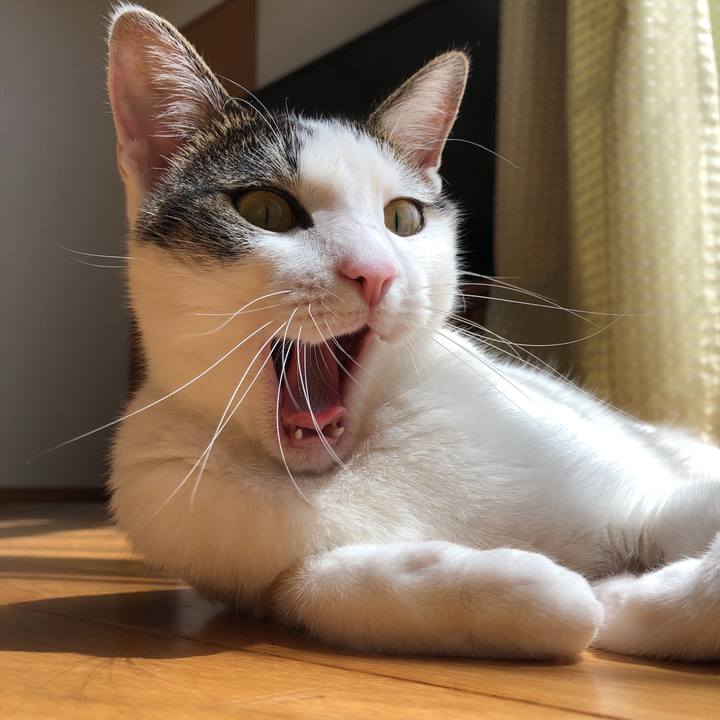 51251be6 22e3 4ab9 be3c 9fa7ebbf990d 1598933871281