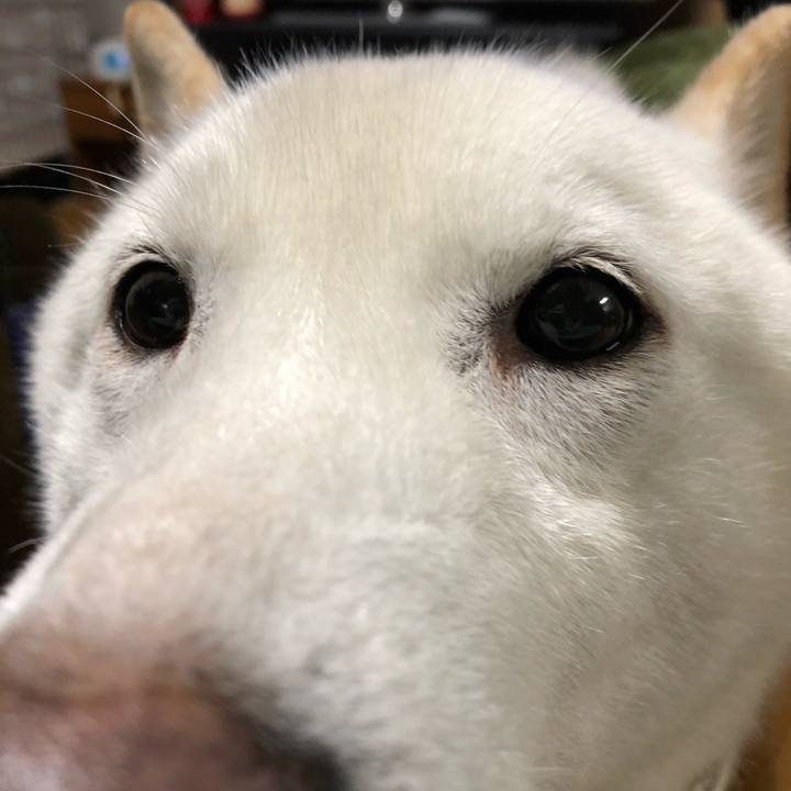 51256500 2d68 41fa 9b07 71413cd653bf 1640167468276