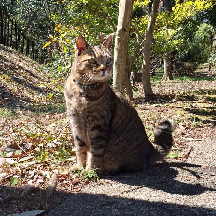 512596bb 4d83 4386 a19d 612435307d15 1553416368656