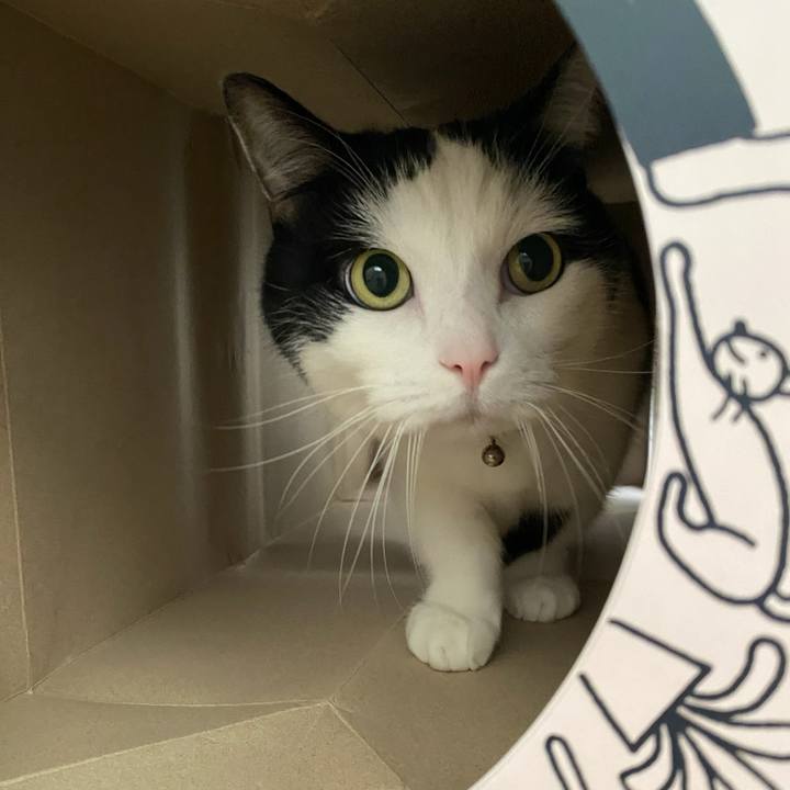 51259a62 df8e 4860 a57e f04938ad6ab7 1766966073876