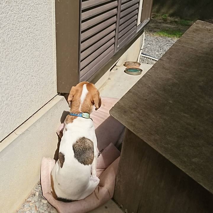 5125a97c 96e2 44f9 b341 5b3ab75a91a4 1571808486549