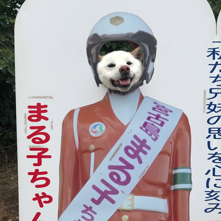 5125afeb be7b 4c8a 97ea 0aa709d9f4c6 1525324624896