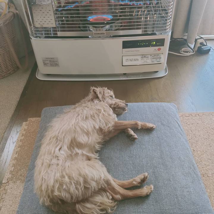 5125fdc8 0c68 4f96 bbfc 44348f3d29d6 1613169909550