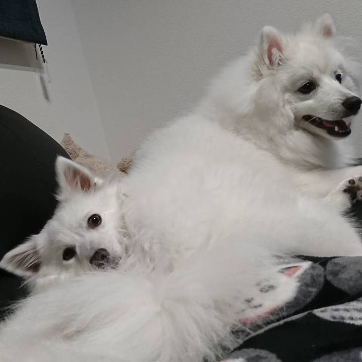 5126430d 87d2 44eb 9c56 51792fd54cbf 1559052005663