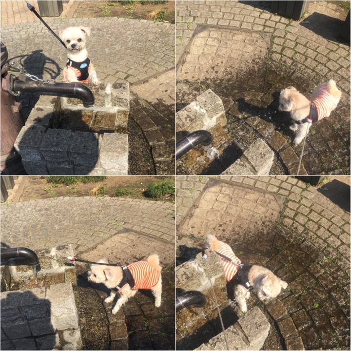 51264ef7 1656 41df bc7a ce110acfce8c 1524382730440