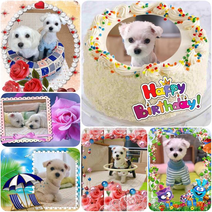 51265e41 395b 461f b729 2738870c4d5d 1591828832051