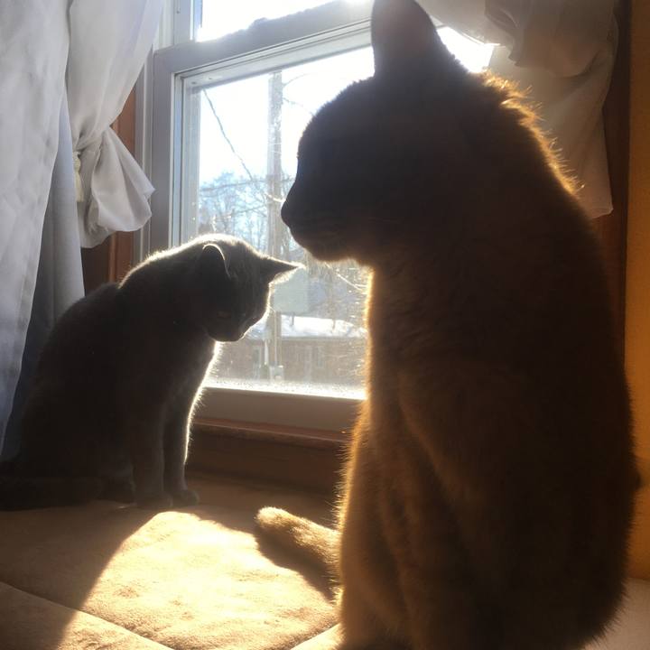 51266f20 8146 469a 968c 37d6074c78db 1633046294370