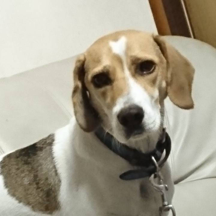 51268716 de40 4efb b8aa 1ac5ffdb3dd8 1567173633302