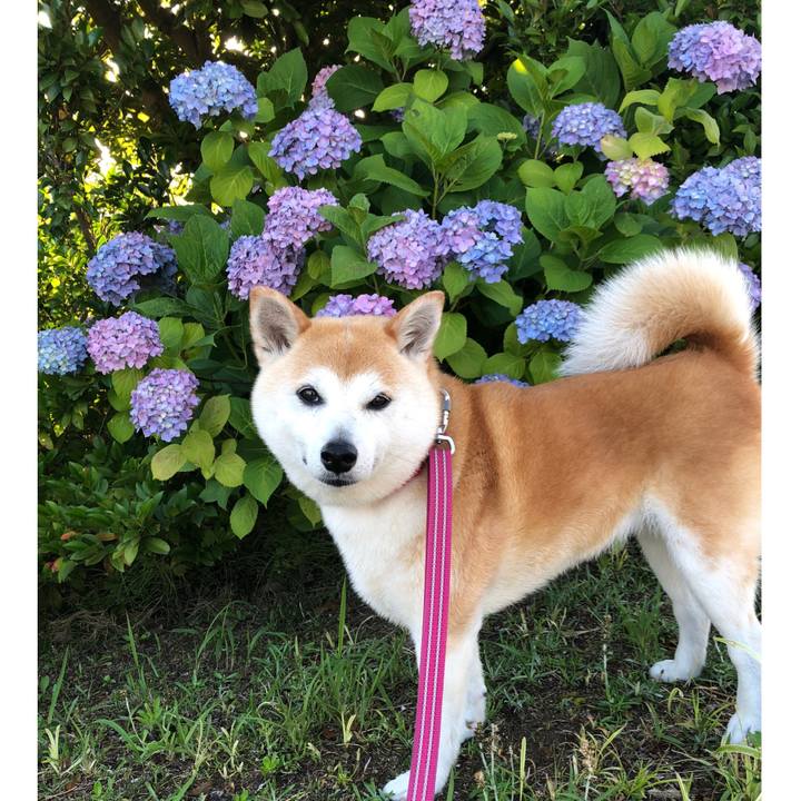 5126a8fd d716 4c64 a5b2 baa587eb4be1 1685611438919