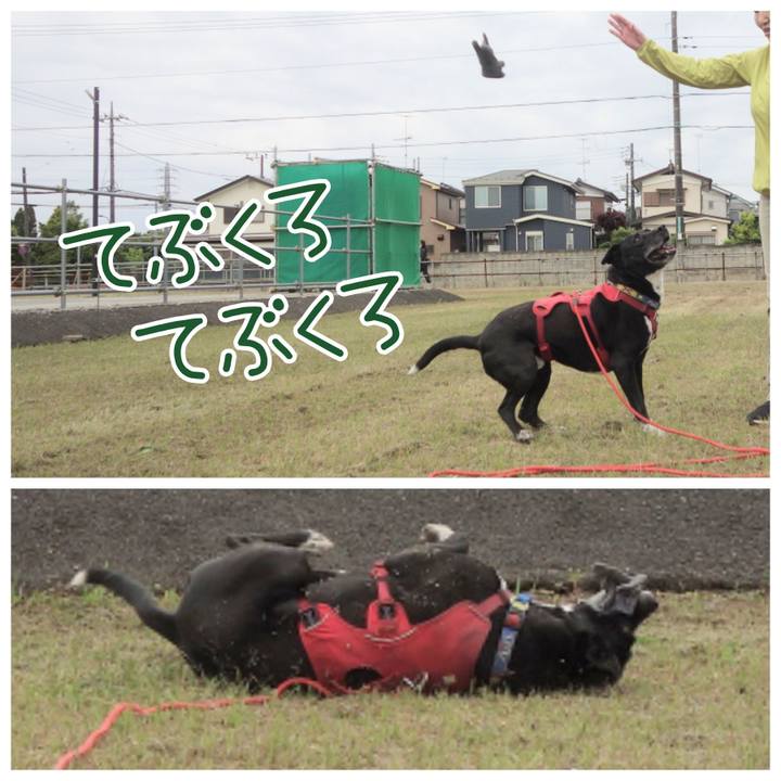 5126f02b cfb5 4614 8339 95c5de44883c 1682300090033