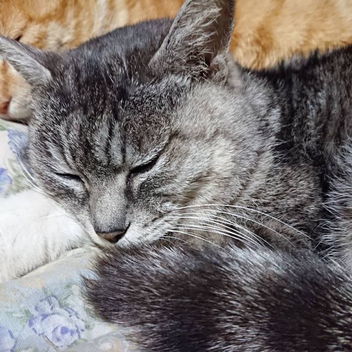 5126f35e fa60 4f64 b445 18b7eba4e09c 1582201219952