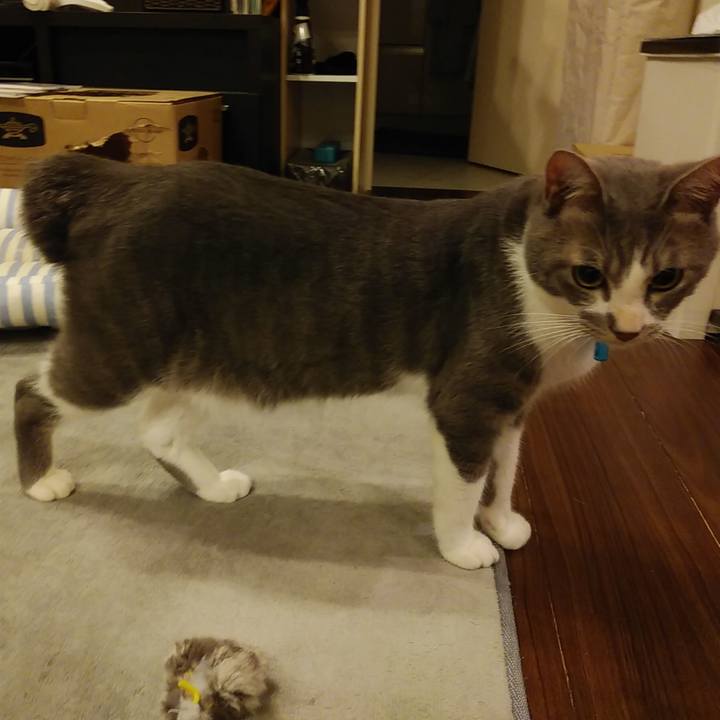 5127116a 020a 4275 b938 2166c536adb9 1595085388359