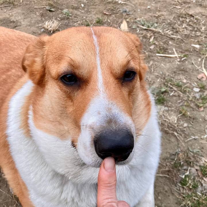 51271e00 3a34 41e2 8721 5adbf0bcbc59 1646875913923