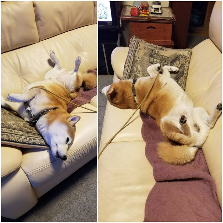 51272b63 f7da 48b9 bce9 33ea7db797ce 1666953019989