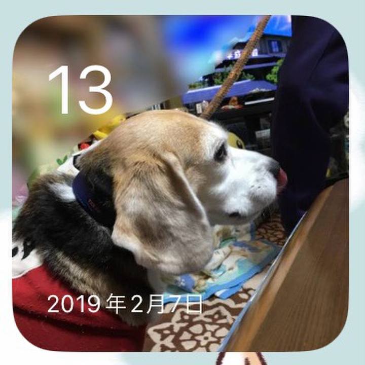 51274357 bb63 4471 8116 6e655b220bd2 1707780472960