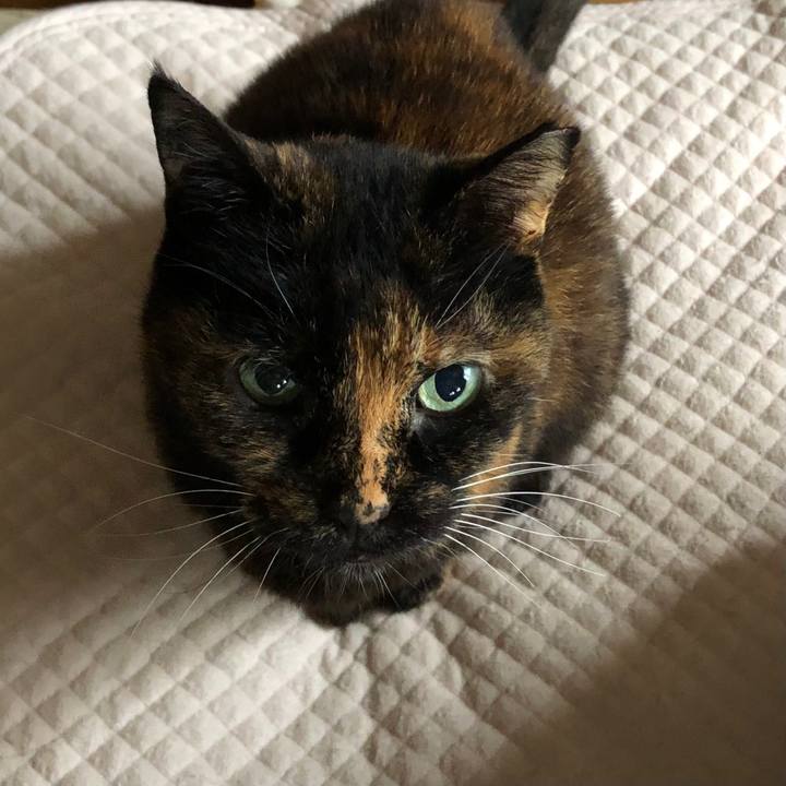 5127961c 098b 4970 a617 ebd047c79b5f 1681942242069