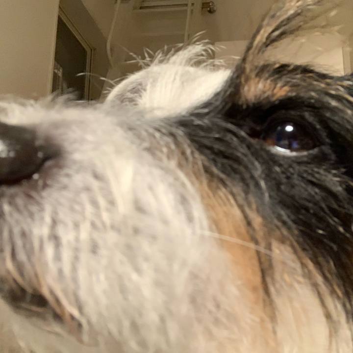 5127aabe ba7c 438d bdd2 ae3826a869f4 1635676671599