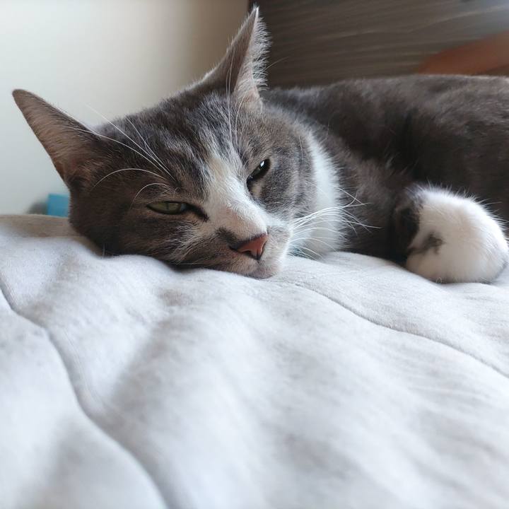 5127e731 906a 439f 98dc 8b9c2bee862b 1658565736138