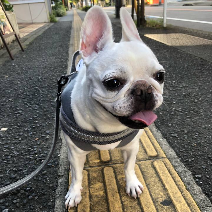 5127f702 ade0 4d94 b585 71f68d62925b 1666487591924