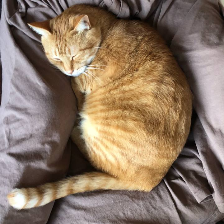 51281703 1c08 4f7f 8687 5c149b0cfe75 1603583915755