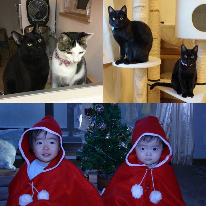 512818d7 1d02 4b80 a829 8cc0eb7eec21 1577194786839