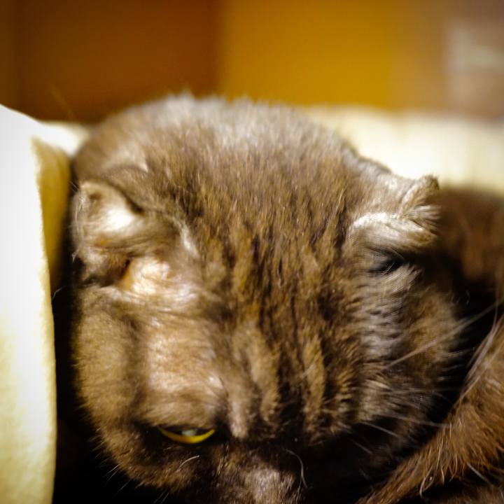 512827f8 15f7 41f6 a41e 7c1dce30d7d6 1645364635870