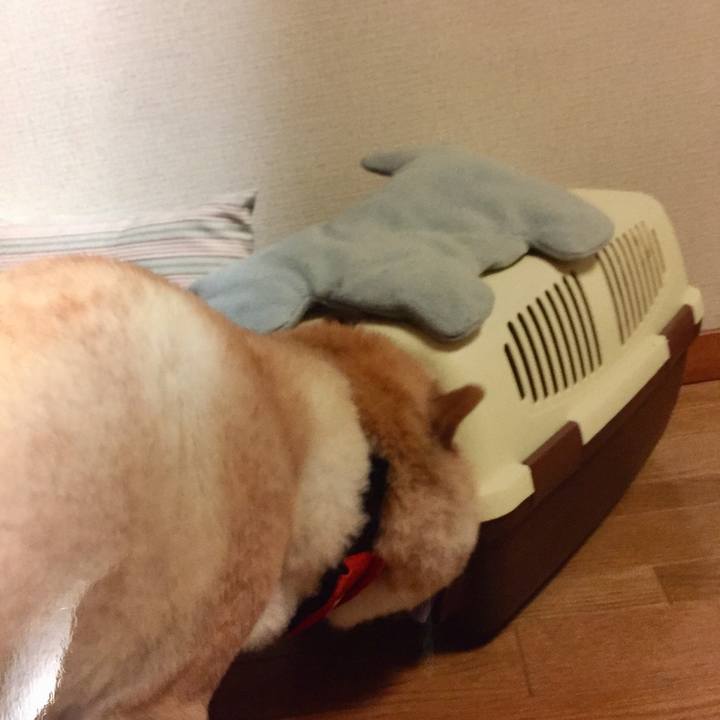 51282f00 b090 4fa6 8493 21aa84a4d13d 1508071750614