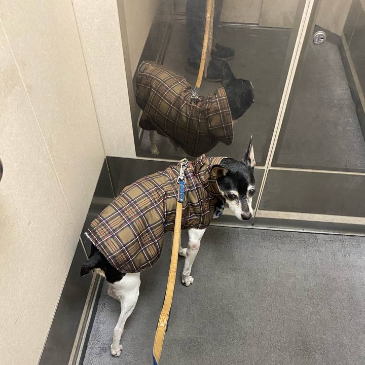 51284829 39c5 42bb 96ab 6eb5233666a2 1616289670248