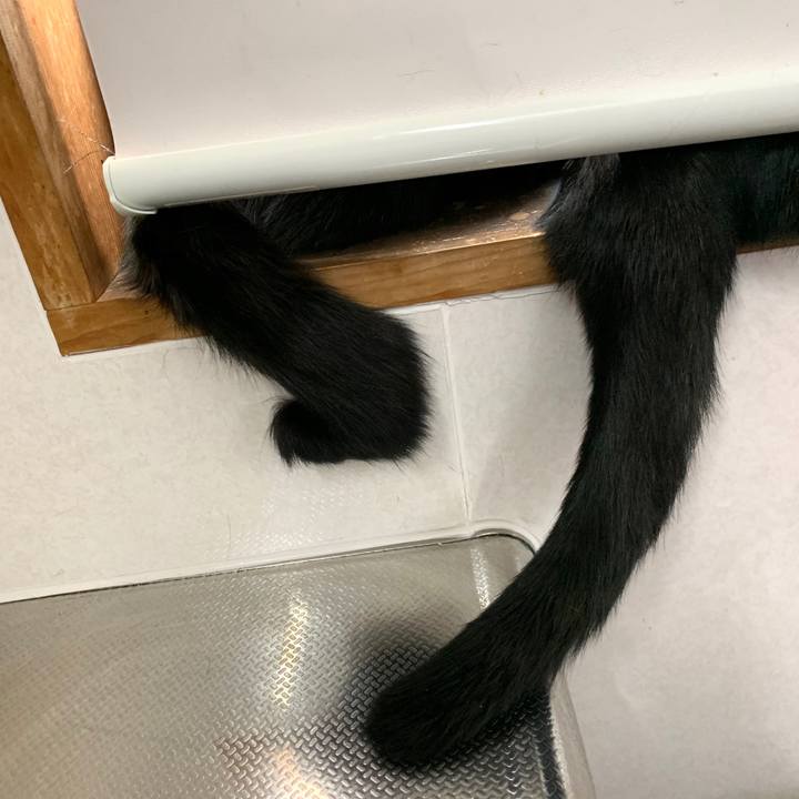 51287bc5 6e90 4e32 9396 b0ce707c9b83 1589269915613