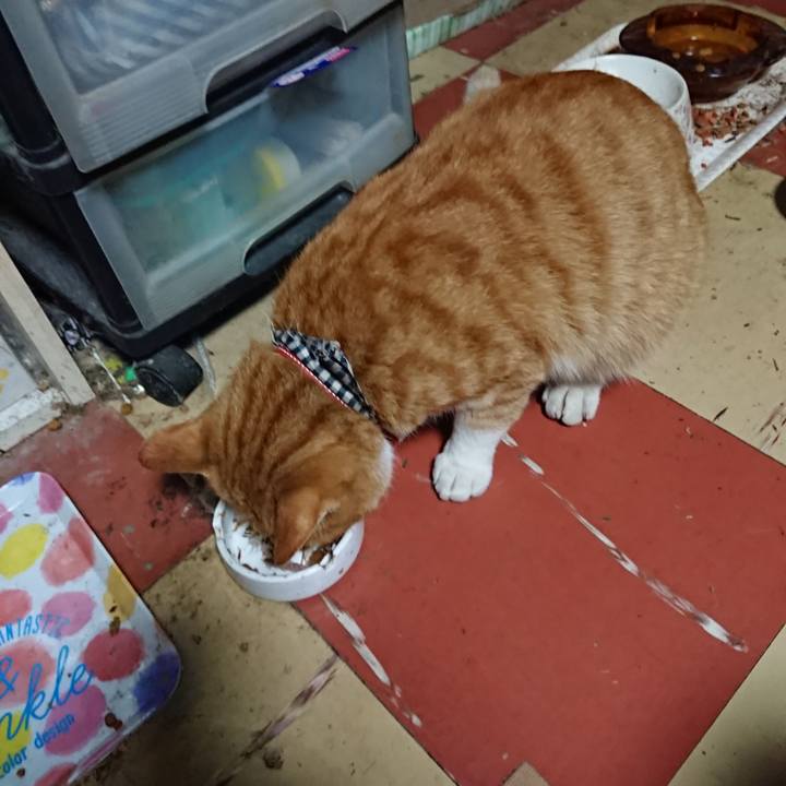 5128a400 c50d 4ae9 86ef da303d534932 1571954241217