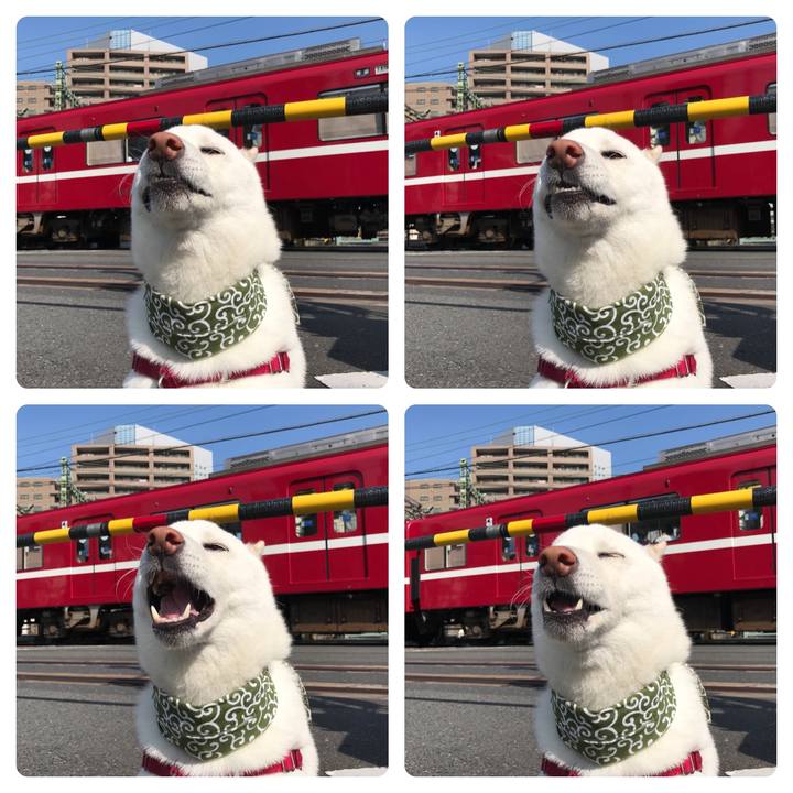 5128a52b 02dc 4724 9cff bc21a1ff360d 1533170073031