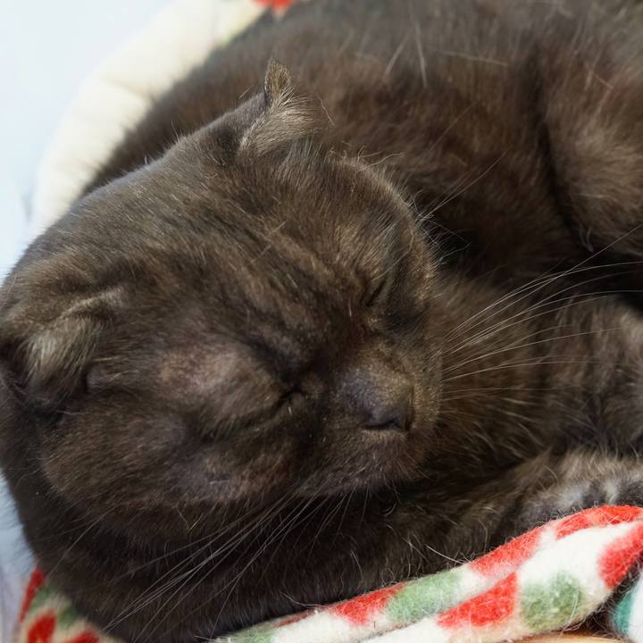 5128aa63 7b5e 44c5 acb9 74a4e5fdb1c9 1577803416650