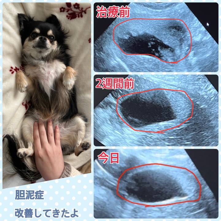 5128b671 16f0 4795 a17e 88a0779b36f2 1670481410480