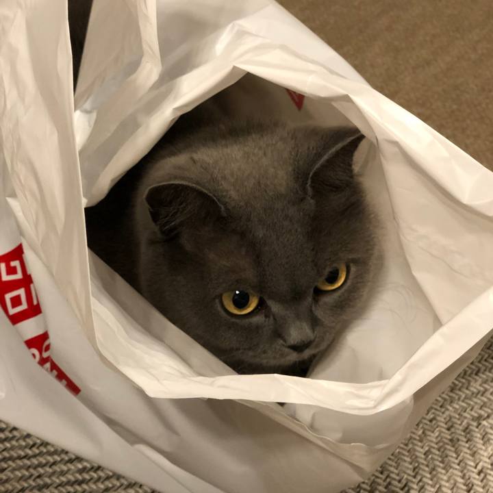 5128b71c 6875 43d8 8799 1991b4153868 1567126399106