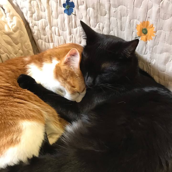 5128cc88 5c9c 4490 8304 fd9f0e26a742 1577011256155