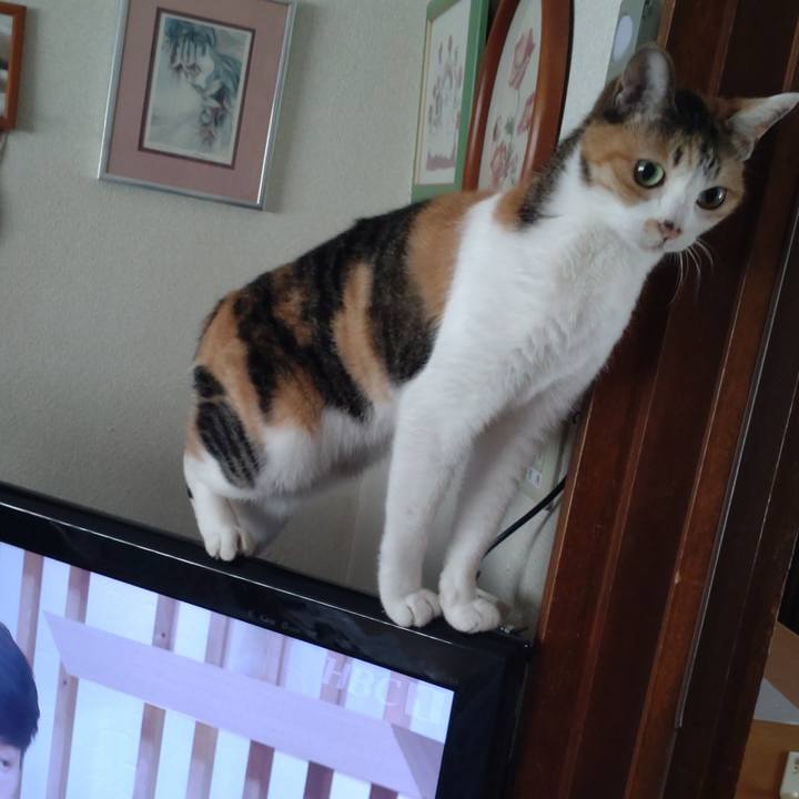 5128f0d1 1b8a 4856 b049 1fef57d0c6b5 1690463525098