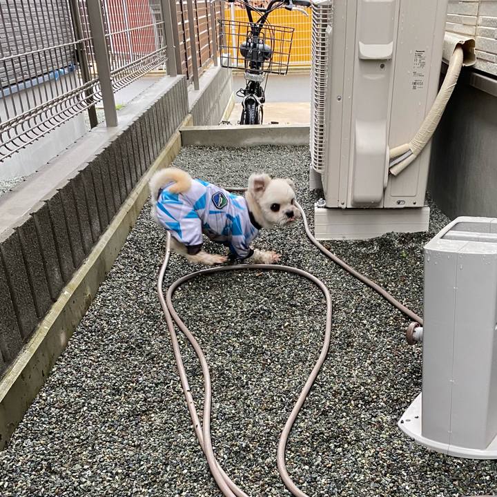 51292970 6c7a 431c ae03 d7dfcea1617d 1630554975109