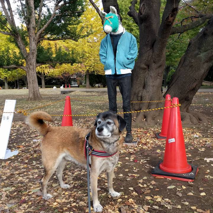 51292c54 642d 4eb5 9caa cc696a5cd94e 1636801751805