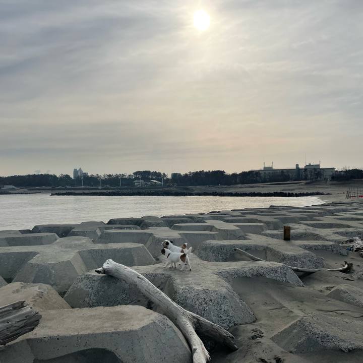 51297d0c f8f4 4da3 b8b8 376c3d7519f9 1647997035472