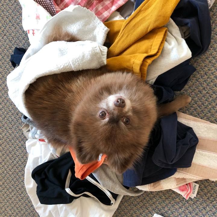 51299cb7 b7fe 4c83 b9dc 1634e9dc12e4 1541977621491