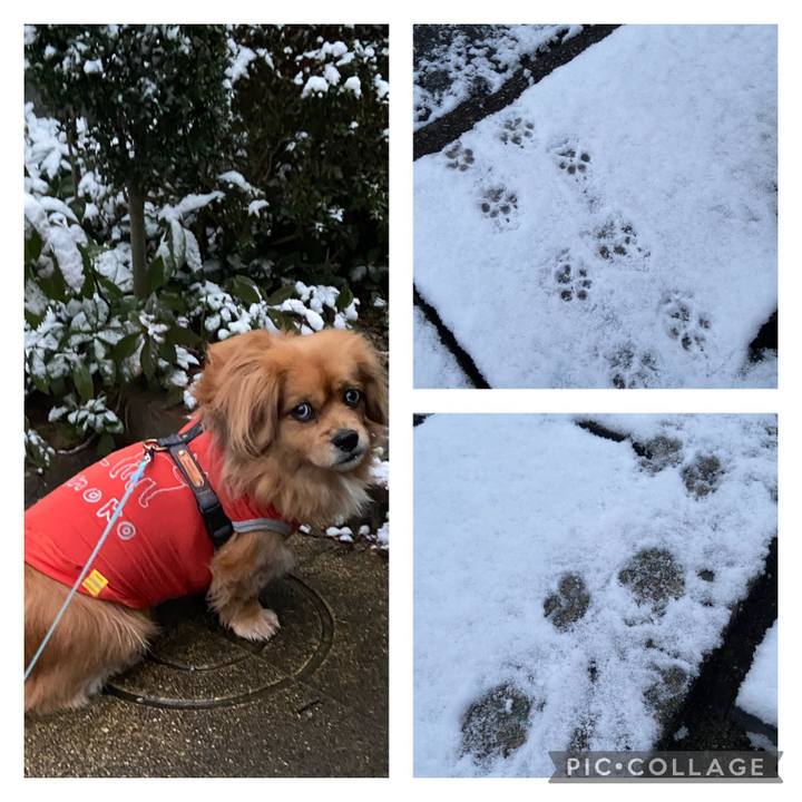 5129bebb 1c33 4103 ac2e 0d4862a6d0fe 1613597938808