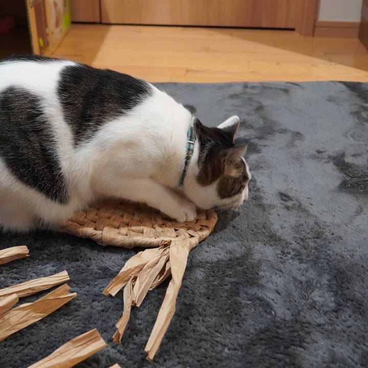 5129d6a7 c52b 4395 bef7 3b42cc529f03 1614435106810