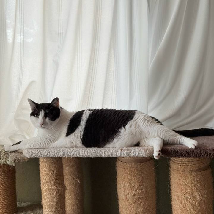 512a08f1 423d 4509 a609 c31da3652a1c 1747882553773