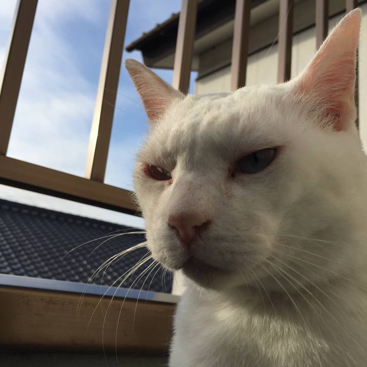 512a43ca 914e 4115 91e8 66b15abb6d85 1536789890303