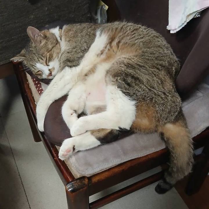 512a59b5 0190 4ff7 836d 8d25c8c53b1f 1754891354029