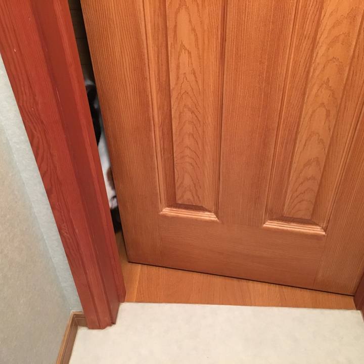 512aa7f5 9df9 4113 9880 b4729893387f 1516073148791